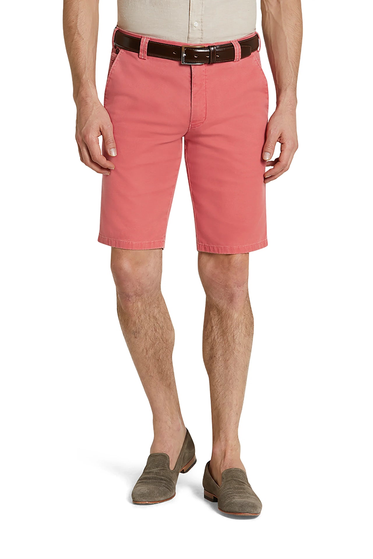 B-Palma 1-5081 CHINO BERMUDAS