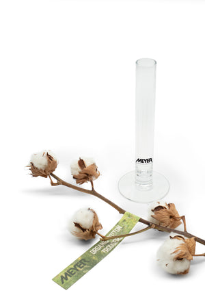 MEYER Glass vase with cotton branch