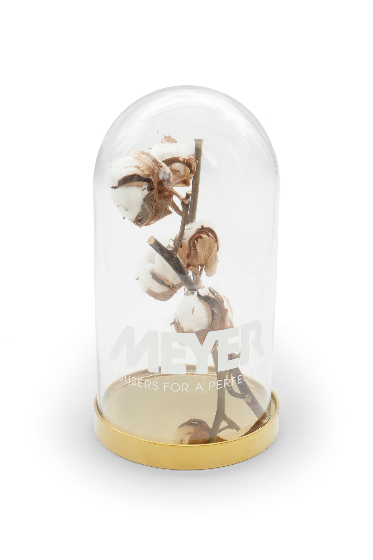 Glas vase with cotton branch