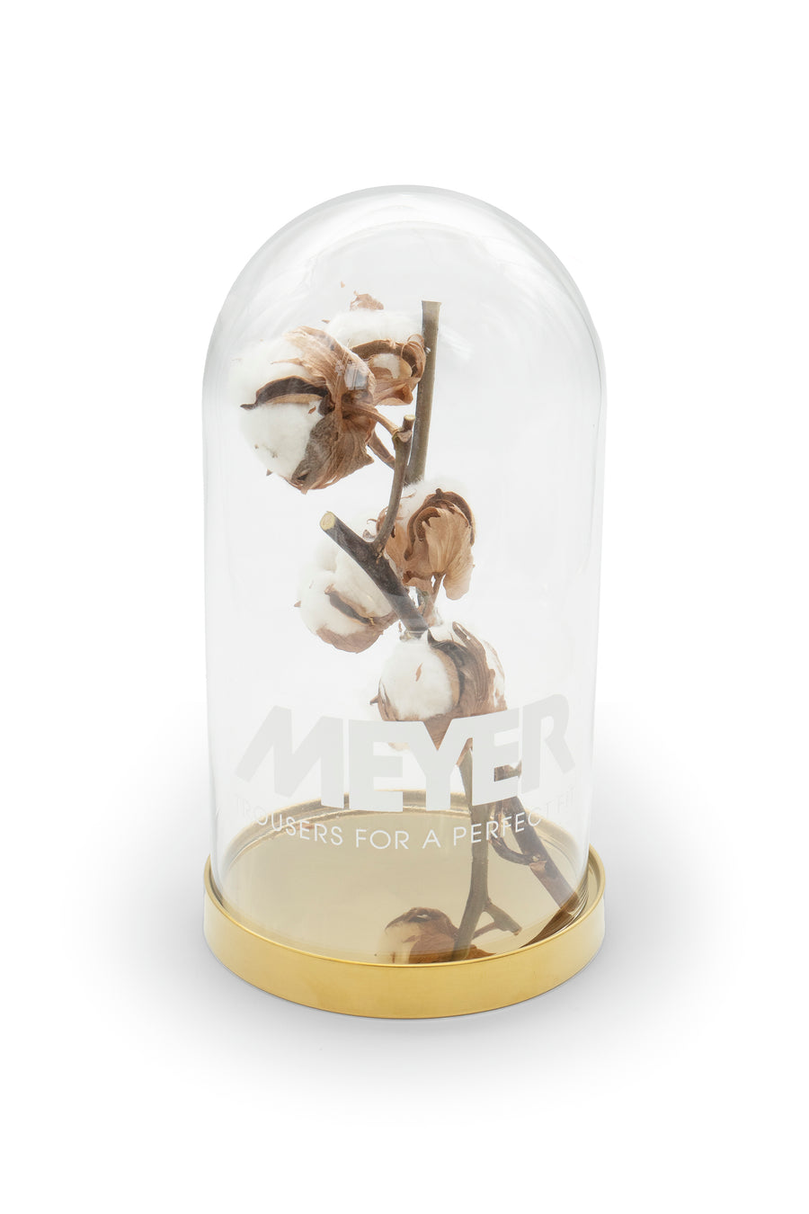 Glas vase with cotton branch