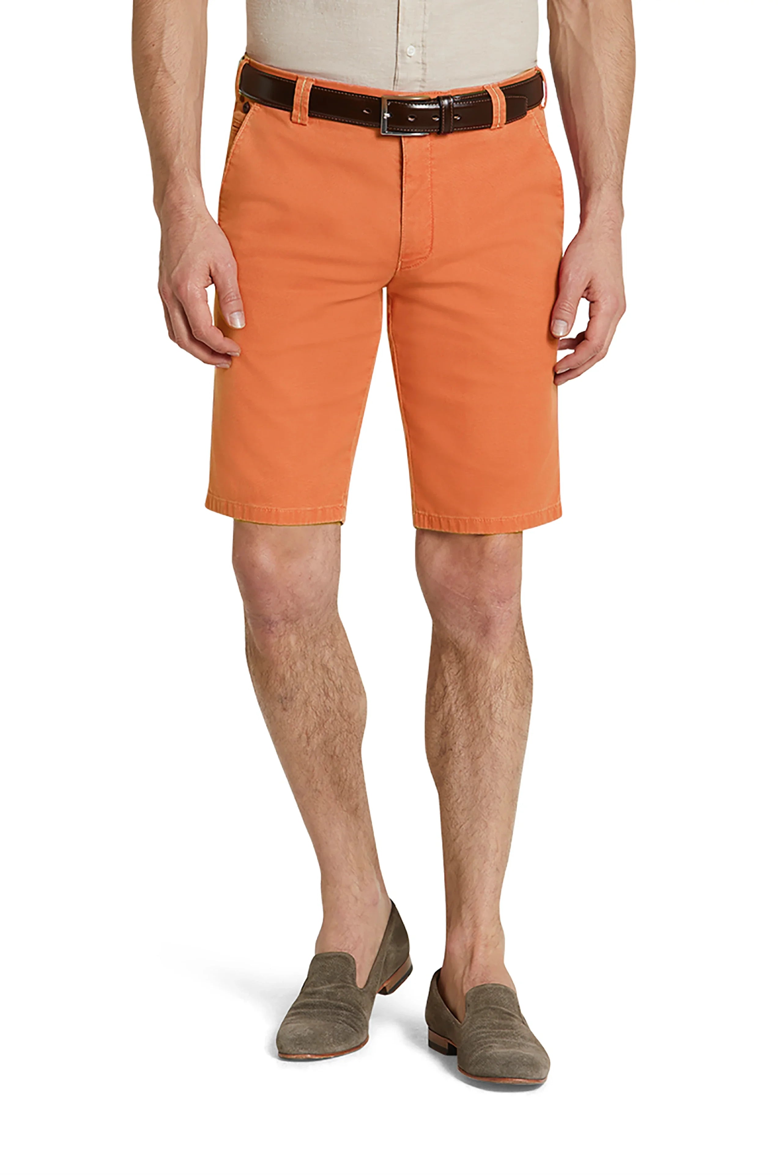 B-Palma 1-5054 CHINO BERMUDAS