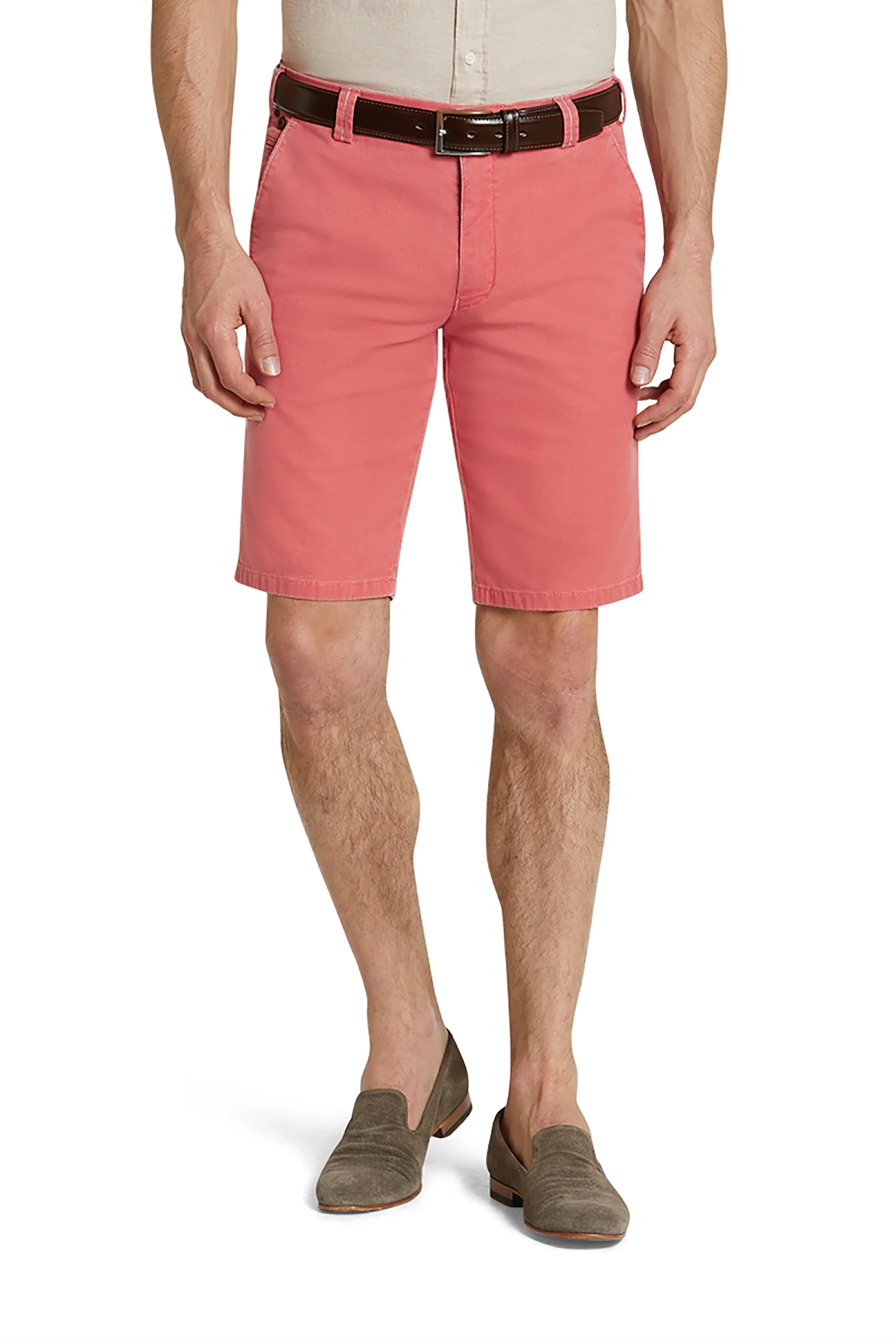 B-Palma 1-5081 CHINO BERMUDAS